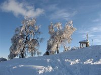 Salita con ciaspole da Moruna di Aviatico al Monte Poieto carico di tanta neve fresca (febbraio 09) - FOTOGALLERY